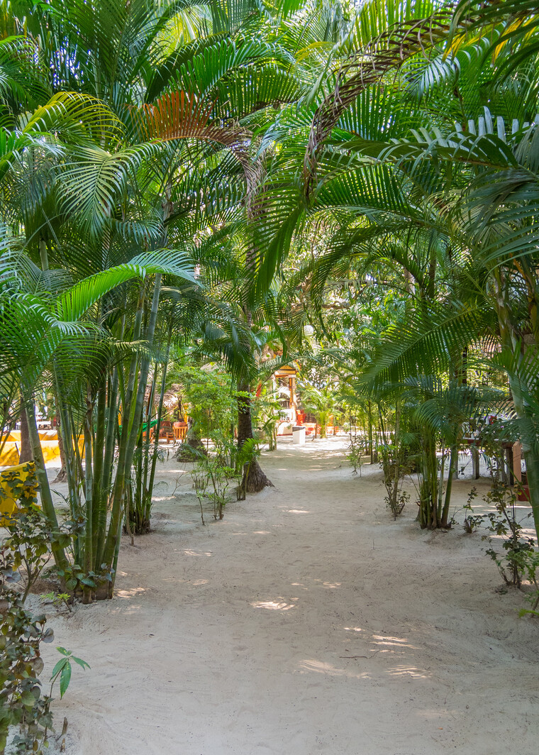 India 2014 - Goa 039.jpg